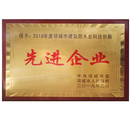 項城市先進企業(yè)證書